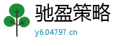 驰盈策略